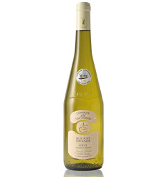 Domaine de la Vinçonnière