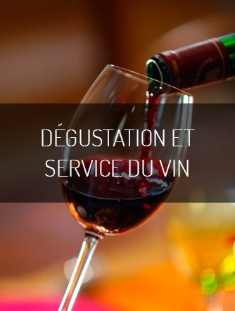 Dégustation et service du vin : Viniphile, apprendre à déguster et
